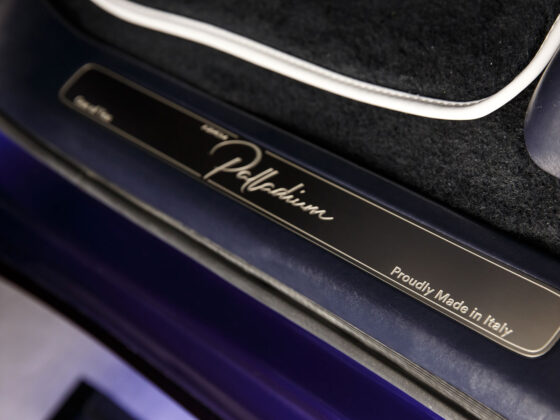 customized accessories and finishes palladium